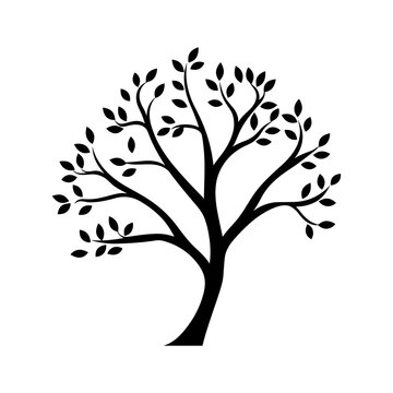 A Branch Tree vector Black Silhouette clipart isolated on a white background