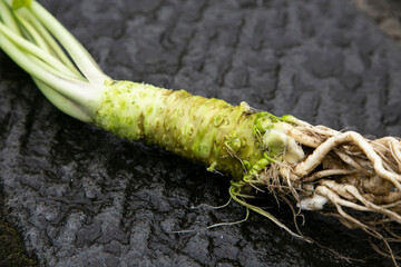 Organic and fresh Wasabi root in a farm in Shizuoka prefecture in Izu Peninsula, Japan.
