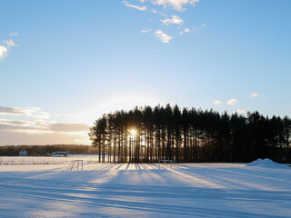 winter landscape in the morning