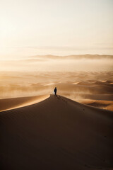 Fototapeta na wymiar Magic landscape of golden sand dune in desert at sunset. A man walking on the ground, a traveler, a tourist, a resident of the desert.