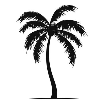 A Palm tree vector silhouette isolated on a white background, Tropical palm tree black clipart