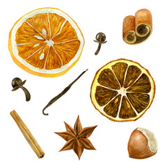 Collection of Christmas spices painted with watercolor, isolated elements