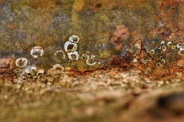 Rust - Texture Photography Series
