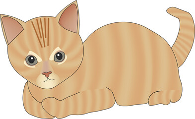 Gato png