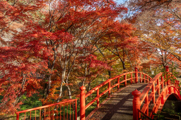 福島県矢祭町　紅葉燃える矢祭山公園