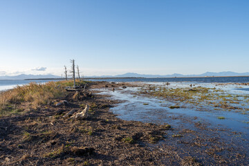 北海道、道東、野付半島、海、トドワラ、ナラワラ、風景、自然、空、晴れ、日本、波、青空、水面、海面、海岸、琵琶湖、雲、コピースペース、快晴、観光、観光地、旅行、屋外、船