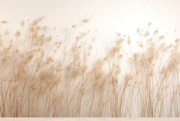 dried grass vlaming from a white wall - obrazy, fototapety, plakaty