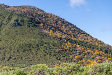 北海道　紅葉　阿寒川　オンネトー　摩周湖　道　道東　硫黄山　温泉
