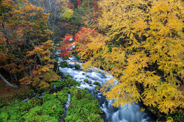 北海道　紅葉　阿寒川　オンネトー　摩周湖　道　道東　硫黄山　温泉