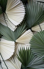 palm leaves in shades of green with white stems