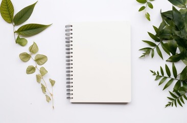 white background with empty notepad and green leaves around a white background
