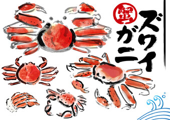 ズワイガニの手描き筆書き和風イラスト素材