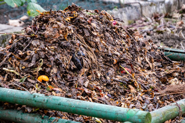 compost