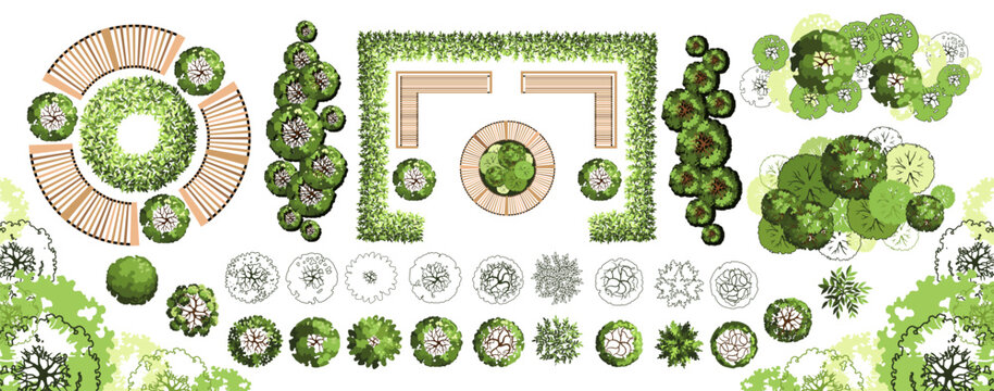 Top view elements for the landscape design plan. Trees and benches for architectural floor plans. Entourage design. Various trees, bushes, and shrubs. Vector illustration.