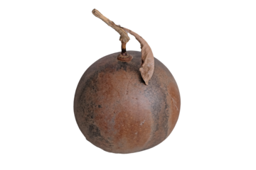 Dried Calabash Cujete Crescentia fruit isolated on a white background