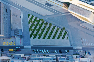 Top-down view of cars and palms in urban layout.