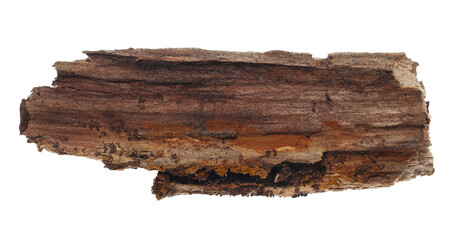 Old rotten piece of wood, board isolated on white, clipping path - obrazy, fototapety, plakaty