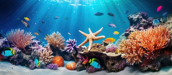 Fototapeta na wymiar Colorful tropical fish and starfish in a coral garden copy space image