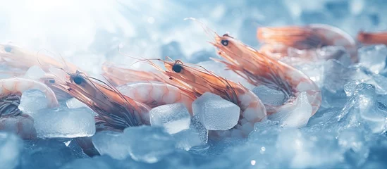 Poster Close up of frozen shrimps dry freezed seafood delicacies with selective focus copy space image © vxnaghiyev