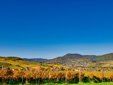 village and vineyards in Rhineland-Palatine