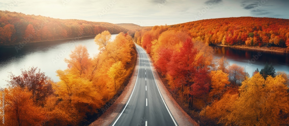 Poster Autumn forest with empty road red and orange trees Aerial perspective Flying drone view copy space image