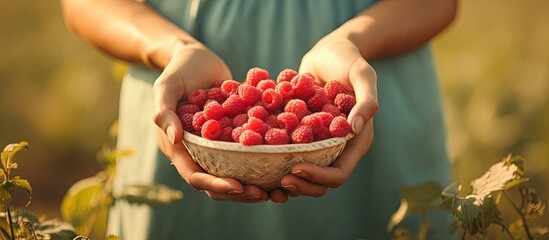 A woman farmer handpicks and collects ripe raspberries placing them in a clay plate copy space image