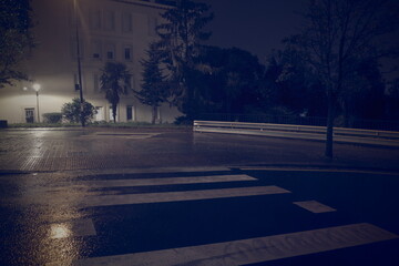 Urbanscape in a rainy night