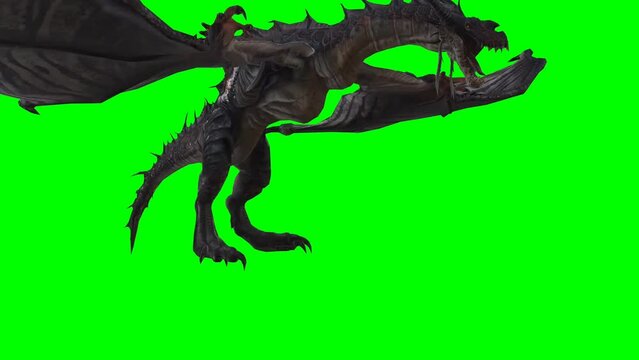 Wyvern, chroma key, side view of Wyvern flying, green screen, animation, dragon, dinosaur