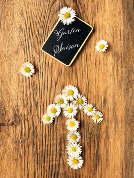 Chalkboard with beautiful daisies and the German text Garden season