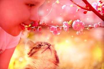 Happy child girl with kitten  enjoying nature outdoors. Sunlit  little girl smelling spring blossom  tree. Having happy time with pets.  Tabby cat