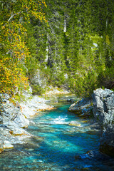 Obraz premium Der Lech - unberührte Wildflusslandschaft in Lech am Arlberg (Vorarlberg, Österreich)
