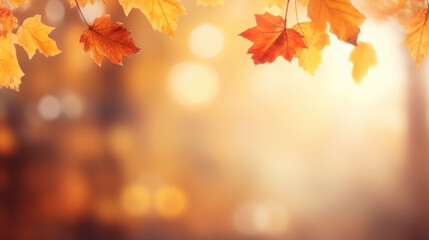 Naklejka na ściany i meble Beautiful autumn background with yellow, orange and red falling leaves, bokeh and sunshine. Banner with free place for text