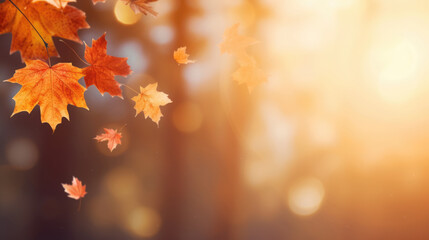 Beautiful autumn background with yellow, orange and red falling leaves, bokeh and sunshine. Banner with free place for text