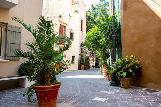 Greece Crete island Chania Old Town. Pot with plant on narrow empty paved alley, building, sunny day