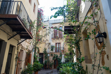 Fototapeta na wymiar Pot with plant on paved alley, building, balcony, summer day. Greece Crete island, Chania Old Town.