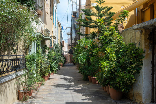 Paved alley surrounded with potted plant between building. Chania Old Town, Crete island, Greece.