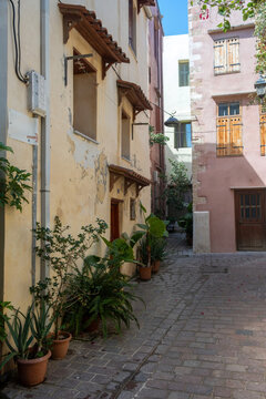 Greece Crete island, Chania Old Town. Potted plant on paved alley, aged building sunny day. Vertical
