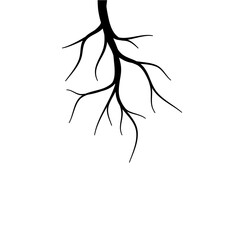 Black Tree Root Set