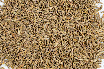 Cumin Jeera spice background. close-up view of zira. Cumin seeds from above. High angle photo of zira jeera cumin spices