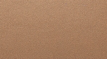 Sand Beige Sesame Light Brown Earth Tone Wallpaper Background Template Plain Solid Color Rough Surface Grainy Texture Pattern Illustration Presentation Slides Theme Collection Copy Space 16:9