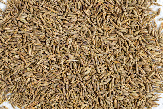 Cumin Jeera spice background. close-up view of zira. Cumin seeds from above. High angle photo of zira jeera cumin spices