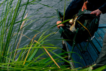 close-up a lot of fresh fish lies in a net or in a professional basket sport fishing in nature