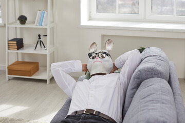 Funny man in rabbit head mask lying on sofa in living room at home. Strange male office worker, employee in formal wear and glasses relaxing after hard working day in modern interior