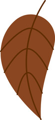 Autumn Tree Leaf