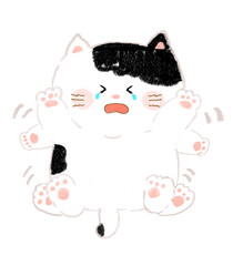 泣きながらジタバタするねこ　手描き