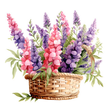 Snapdragons and Lavender, Flowers, Watercolor illustrations