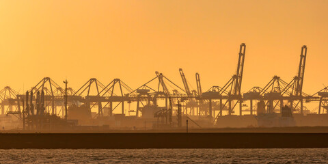 Dutch industrial area with shipping cranes during sunset in Europoort, Rotterdam harbor
