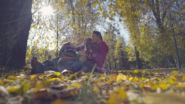 Heartwarming Autumn Picnic: Mom, Son, and Dogs Enjoy Quality Time on Yellow Leaves. High quality 4k footage