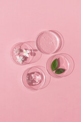 Facial serum or gel with hyaluronic acid, flower and leaves in Petri dishes on a pink background. Concept of cosmetics laboratory researches, wellness, beauty and natural cosmetics