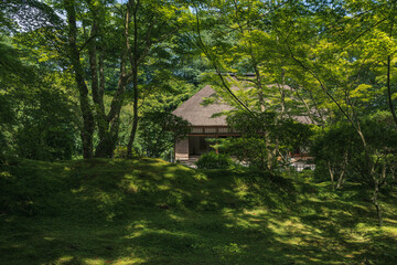 宮城松島 円通院 初夏の庭園風景